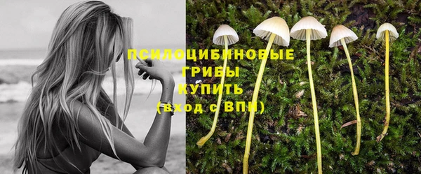индика Баксан