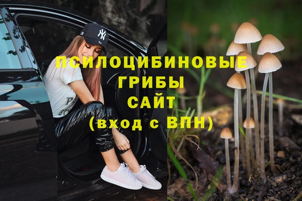 индика Баксан