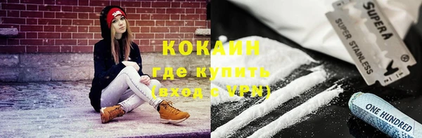 индика Баксан