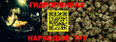трава Балахна