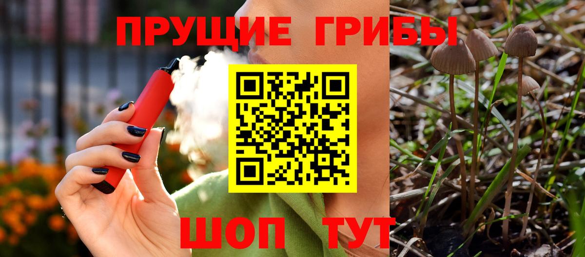 купить наркоту  Псилоцибиновые грибы GOLDEN TEACHER  Вход с VPN  Беслан 