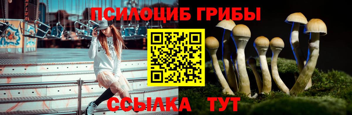 Галлюциногенные грибы Magic Shrooms  как найти   Беслан 