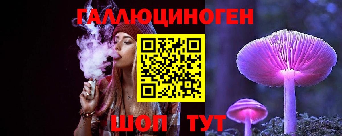 Галлюциногенные грибы Psilocybe Беслан